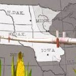 Farmers' Land Confiscated for 'Carbon Pipeline' through Corn Belt