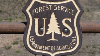 us forest service